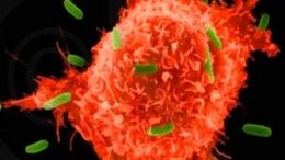 parathiro_deixnei_thn_exaplosi_tou_karkinou