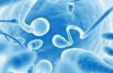 vlastokyttara_apokathstoun_thn_andrikh_gonimotita