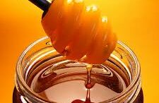 meli_h_trofi_twn_thewn