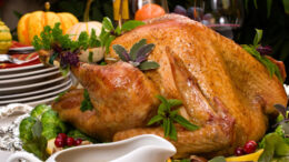 pws-na-ftiaxete-teleia-galopoula