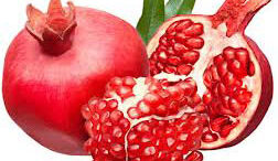 rodi_ugeia_gonimotita_kalotyxia