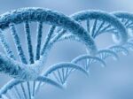 peirama_DNA_therapeia_karkinou