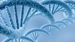 peirama_DNA_therapeia_karkinou