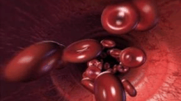 vlastokitara_anagenoun_artiries