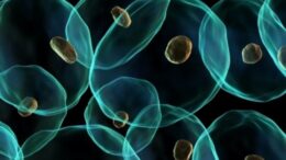 3D_ektiposi_kittarwn