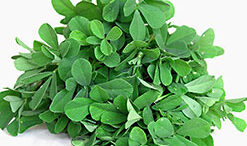 Fenugreek_leaves