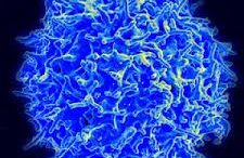 farmako_odogei_ton_karkino_se_aftoktonia