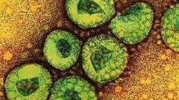 neos_ios_me_simptomata_SARS