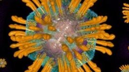 xartografisi_eksaplosis_ios_ipatitidas_C