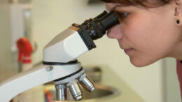 afkasanontai_ta_thimata_tou_neou_iou