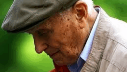 apaisiodoksia_grinia