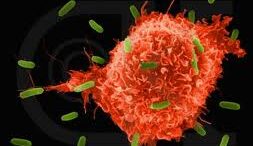 Ellinas_skotonei_ton_karkino_me_ilektrosok