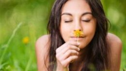 Ta_organa_mas_exoyn_ti_diki_toys_myti!