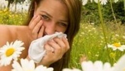 anoiksiatikes_allergies