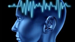 egkefaliko_vlastokitara