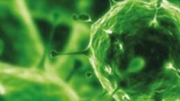 endonosokomiaki-metadosi-tou-koronoiou_se_nosileftes