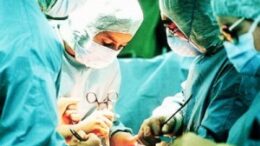 metamosxefsi_kefalis