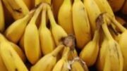 Eisaggeliki_ereyna_gia_epikindyno_fytofarmako_poy_kitrinizei_tis_mpananes_