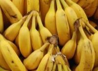 Eisaggeliki_ereyna_gia_epikindyno_fytofarmako_poy_kitrinizei_tis_mpananes_