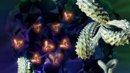 anosotherapeia-karkinos