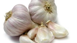 garlic2