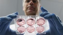 To match Feature SCIENCE-MEAT/