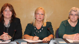 pagosmia imera diaviti