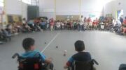 gymnasio gel