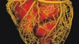 exipnoteros-vimatodotis