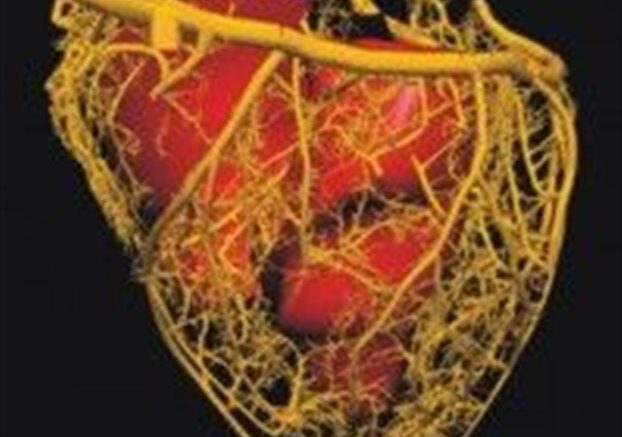 exipnoteros-vimatodotis