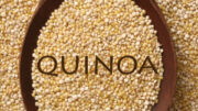 quinoa