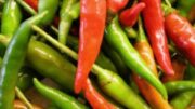 piperies