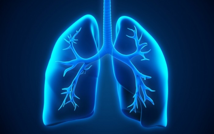 pneumoniokokos